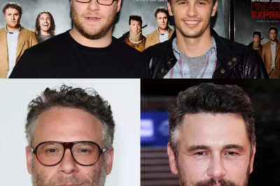 Seth Rogen Has Curt Response When Asked About Ending His James Franco Friendship