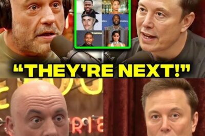 Elon Musk & Joe Rogan EXPOSE The Celebrities That FLED The Country After Diddy’s Lawyer Quit