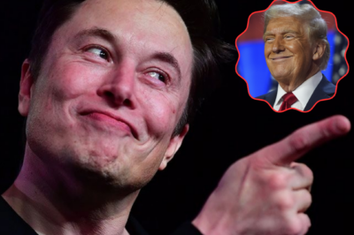 Elon Musk ‘evaporates’ nearly $50 billion after Trump takes office