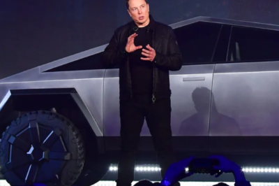 Tesla plummets, losing 84% of market share, Elon Musk criticized for being absorbed in reforming the US government