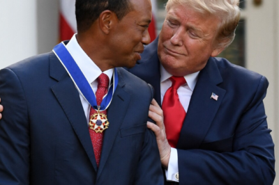 Tiger Woods drops LIV Golf bombshell after meeting with Donald Trump