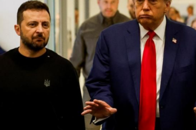 Donald Trump’s Special Assistant, Margo Martin, Shares Viral Video of Former President Joking About Zelenskyy’s Outfit – Sparks Global Debate
