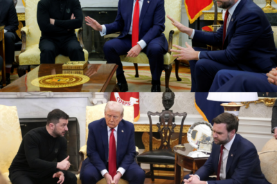 Leaked Oval Office Video: Donald Trump and JD Vance Clash with Ukraine’s Volodymyr Zelensky in Heated Exchange