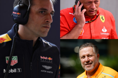 Red Bull boss Pierre Wache ‘suspects’ FIA ‘ignoring’ McLaren and Ferrari’s use of mini-DRS