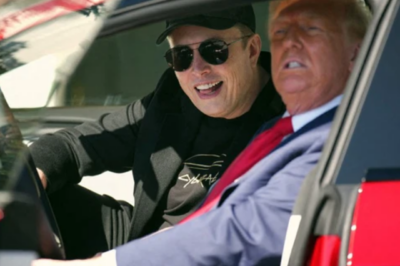 Elon Musk: ‘Stop Burning Tesla Cars, Stop Being Crazy’