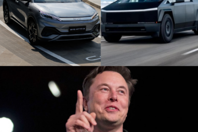 Electric car company BYD surpasses billionaire Elon Musk’s Tesla in revenue
