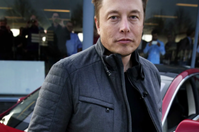 A $700 billion company with no president, COO, or executive vice president: The giant loophole that gives Elon Musk ultimate power at Tesla