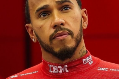 Brundle finds new Lewis Hamilton evidence behind China disqualification
