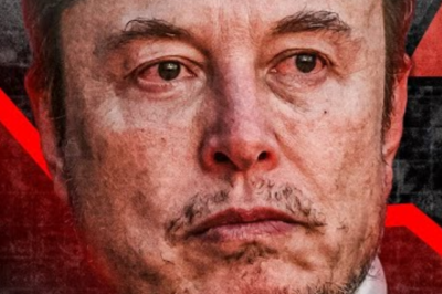 It can only be Elon Musk: Loyal fans continue to buy Tesla shares despite the market capitalization having dropped by $800 billion, claiming that the lower the price, the more opportunity there is to make money.