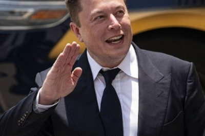 Prophecy that scares Elon Musk: Tesla’s stock price has no chance of recovering, the company’s profits cannot grow again
