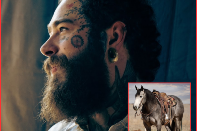 Post Malone just bought a funny-named Texas horse in hopes of inspiring some classic country tunes.