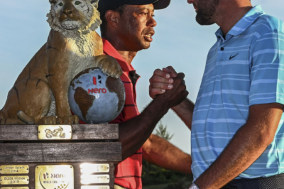 Scottie Scheffler achieved an incredible record that only Tiger Woods had previously achieved in history.