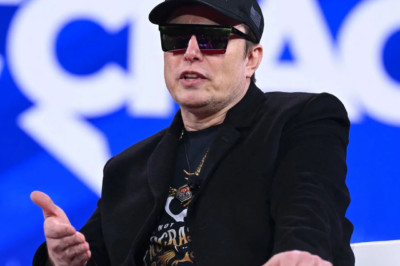 Elon Musk: ‘I will help America save $1,000 billion in 130 days’