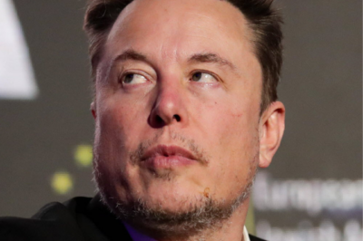 While Tesla is facing many serious challenges, Elon Musk is “overloaded” by doing 17 jobs at the same time.