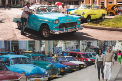 The ‘paradise’ of classic cars did not expect to be so numerous in the small Caribbean Island