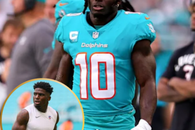 Miami Dolphins Address Tyreek Hill’s Involvement in Domestic Dispute with Official Statement