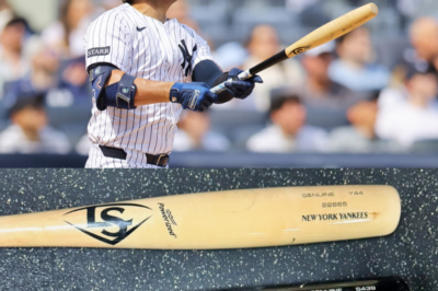 How Were Their Bats Handled by the Yankees?  This Is Everything You Should Know About the “Torpedo” Barrel