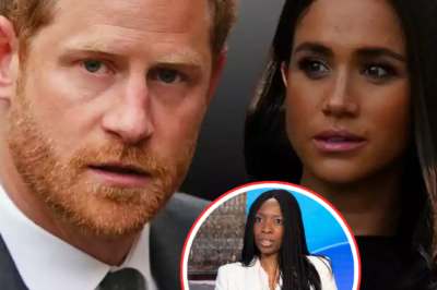 Prince Harry ‘sent nasty and bossy message’ to charity boss after awkward exchange with his wife Meghan Markle.