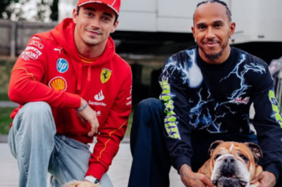 Ralf Schumacher noticed that Charles Leclerc was ‘blowing heat’ at Lewis Hamilton