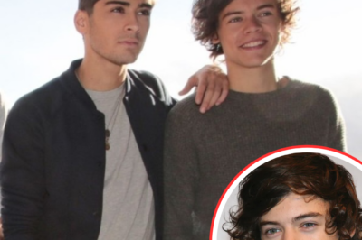 Harry Styles Makes Surprising Comment About Zayn Malik’s Music After Rocking the Internet With Series of One Direction Tribute Concerts