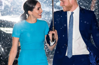 Drama Follows Prince Harry and Meghan Like ‘Flies on Rotting Fruit,’ Commentator Says