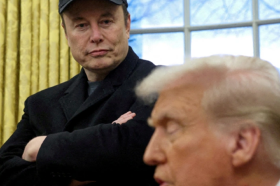 Billionaire Elon Musk criticized Mr. Trump’s tax policy advisor as the cause of Tesla’s Plunge