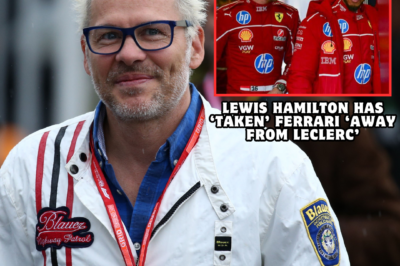 Jacques Villeneuve makes wild Lewis Hamilton claim in ‘taken away’ verdict