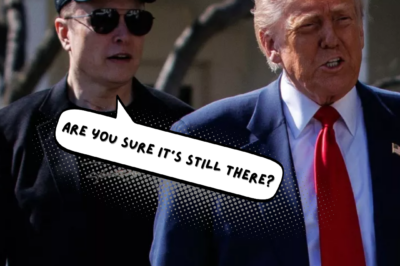 Donald Trump and Elon Musk ‘fan fire’ into conspiracy theory about 4,580-ton gold reserve