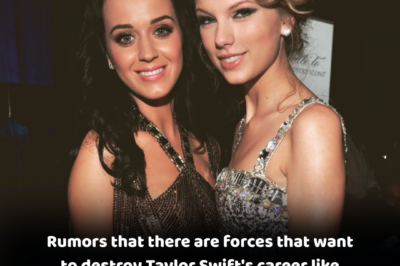 Rumors that there are forces that want to destroy Taylor Swift’s career like Katy Perry’s, fans immediately step in to protect their idol