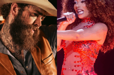 Houston rap star Megan Thee Stallion had to abruptly stop her performance at Coachella to make way for Post Malone due to a ‘silly’ incident