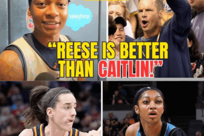 An in-depth look at the WNBA’s most recent controversy shows how fans react when Erica Wheeler publicly backs Angel Reese over Caitlin Clark.