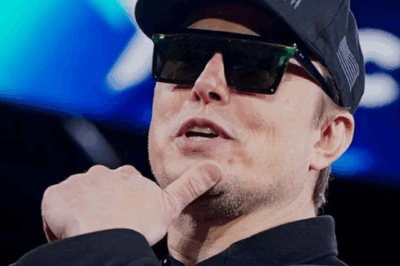 Fluctuations in the world’s richest people rankings – Elon Musk reclaims the throne