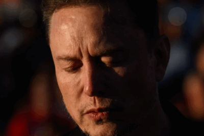 Billionaire Elon Musk embarrassed by Grok’s humiliating comment
