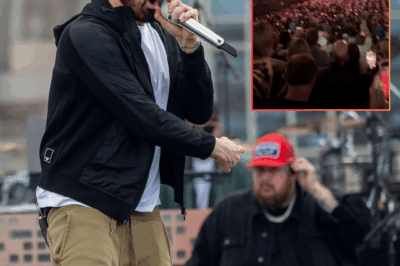 More than 46,000 people exploded with emotion when witnessing the performance of Jelly Roll and Eminem