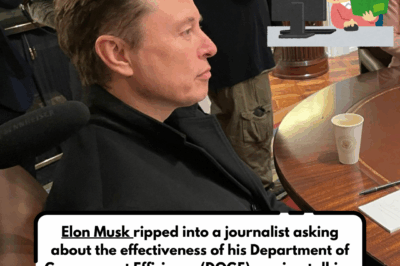 Musk rips journalist in interview: ‘Like talking to a computer’