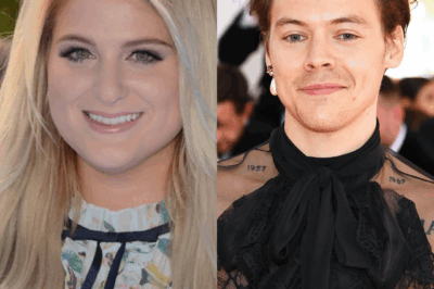 Harry Styles and Meghan Trainor’s Relationship Explained When Fans Think They’re Related