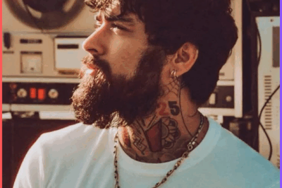 Zayn Malik is inviting fans into his kitchen as he launches his new lifestyle collection.