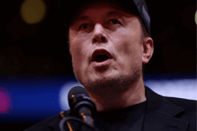 Elon Musk suddenly becomes ‘in demand’ when receiving very warm ‘invitation’