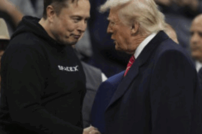 Elon Musk uses an important chess piece to “threaten” Mr. Trump: How powerful is it?
