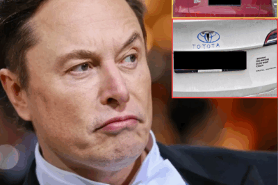 Tesla owner sues Elon Musk, demands refund for vandalized car