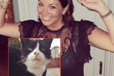 **How Harry Styles’ Mom Miraculously Reunited with Her Beloved Cat After Two Years**