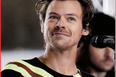 **Harry Styles’ Lifestyle Unveiled: Is He Too Meticulous?**