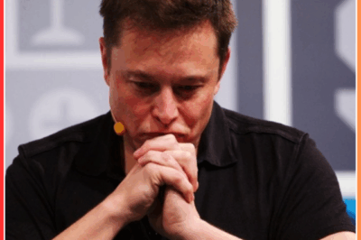 Elon Musk’s dream of ‘conquering’ Mars ‘is about to go up in smoke’