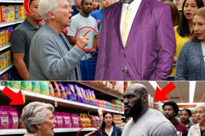 A 90-Year-Old Racist Woman Tells Big Shaq ‘Go Back to Africa’—His EPIC Clapback Leaves Crowd SPEECHLESS!