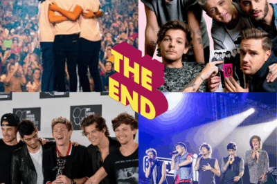 “Ten years of One Direction, wrapped up in just a 4-minute-57-second video — and yet, it was more than enough to move fans to tears.”