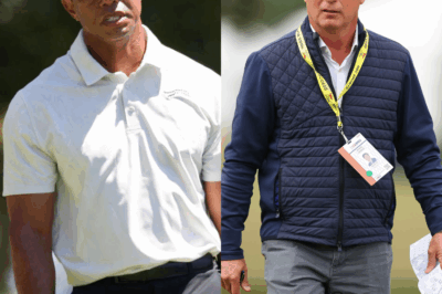 ​​Brandel Chamblee claims Tiger Woods has inadvertently contributed to causing two big problems in modern day golf