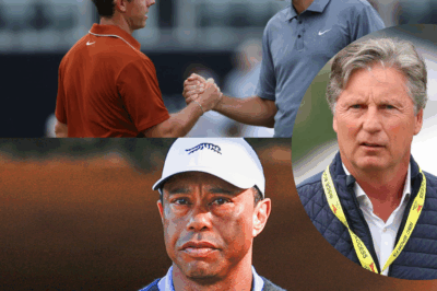 Using Tiger Woods as a benchmark, Brandel Chamblee chooses who is the better golfer between Scottie Scheffler and Rory McIlroy