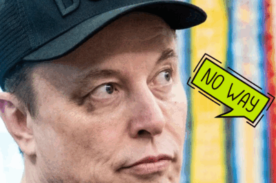 US House Speaker Wants to ‘Make Peace’ But Elon Musk ‘Says No’