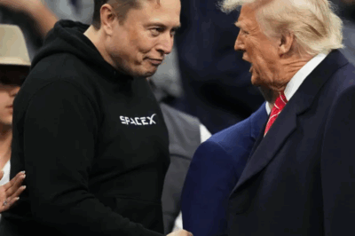 Fearing President Donald Trump ‘Forgets’, Elon Musk Continues to Mention Epstein
