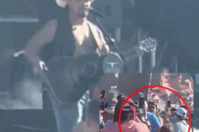 Unexpected incident: Gavin Adcock jumps off stage to confront men who chased his father from festival